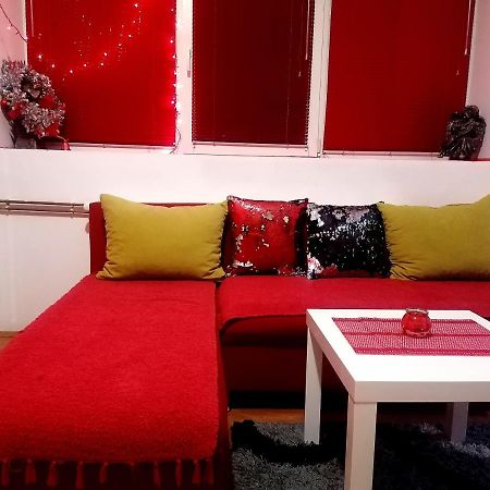 Appartement Jednosoban Stan Centar à Pirot Extérieur photo