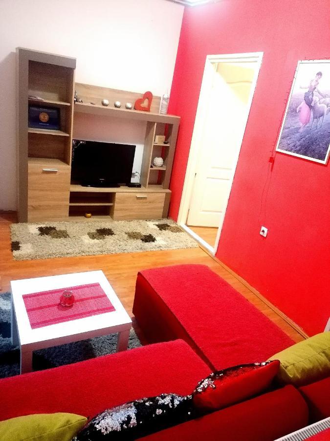 Appartement Jednosoban Stan Centar à Pirot Extérieur photo