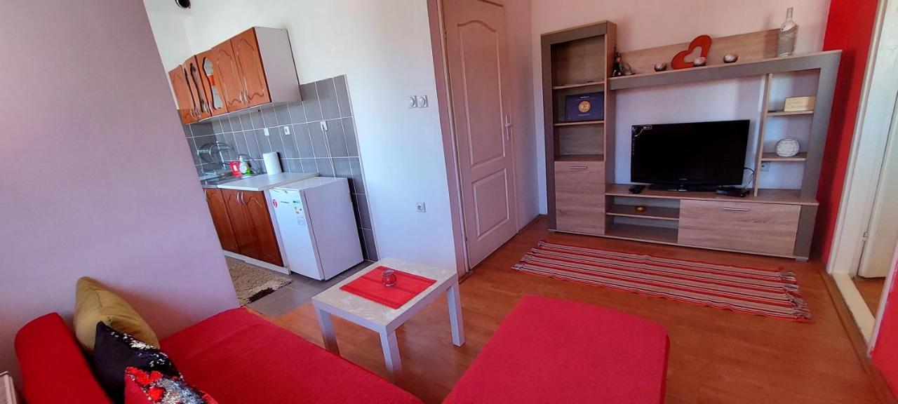 Appartement Jednosoban Stan Centar à Pirot Extérieur photo