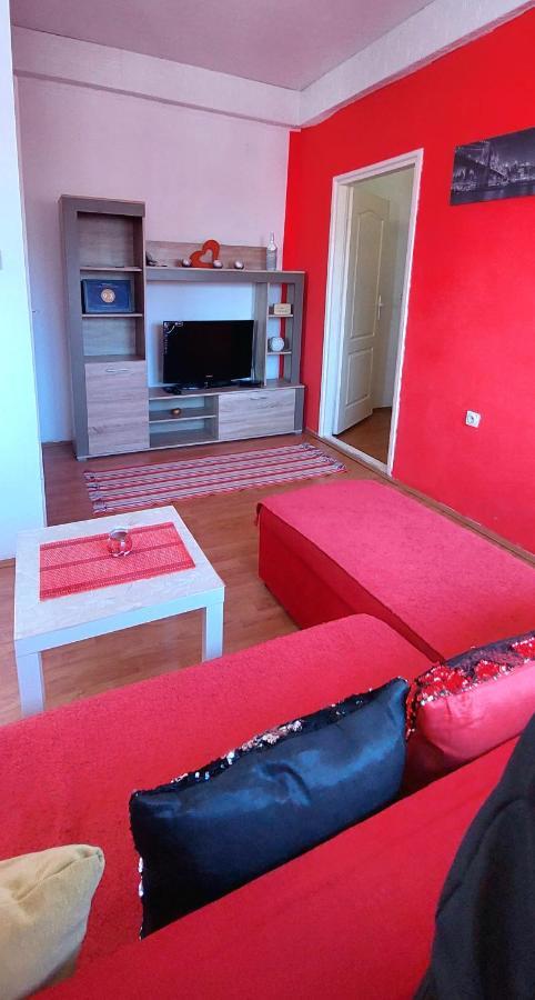 Appartement Jednosoban Stan Centar à Pirot Extérieur photo