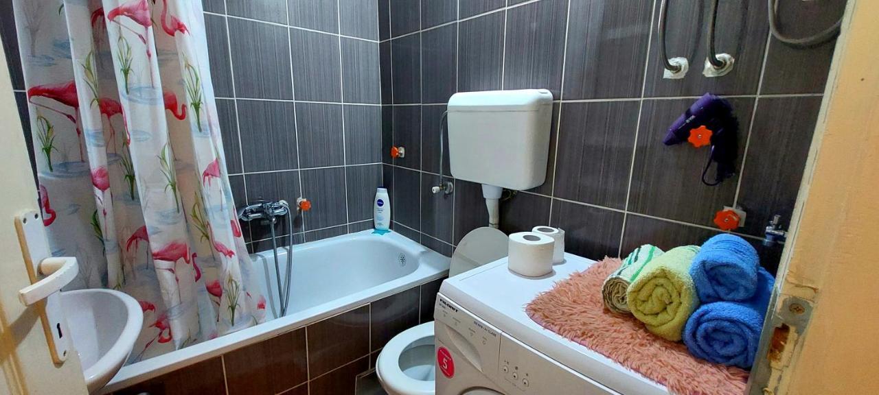 Appartement Jednosoban Stan Centar à Pirot Extérieur photo