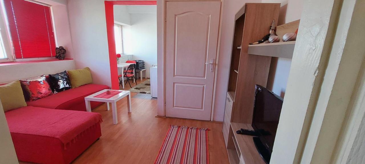 Appartement Jednosoban Stan Centar à Pirot Extérieur photo