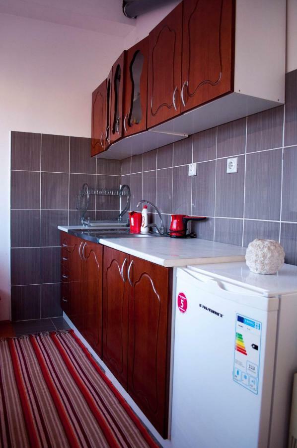 Appartement Jednosoban Stan Centar à Pirot Extérieur photo
