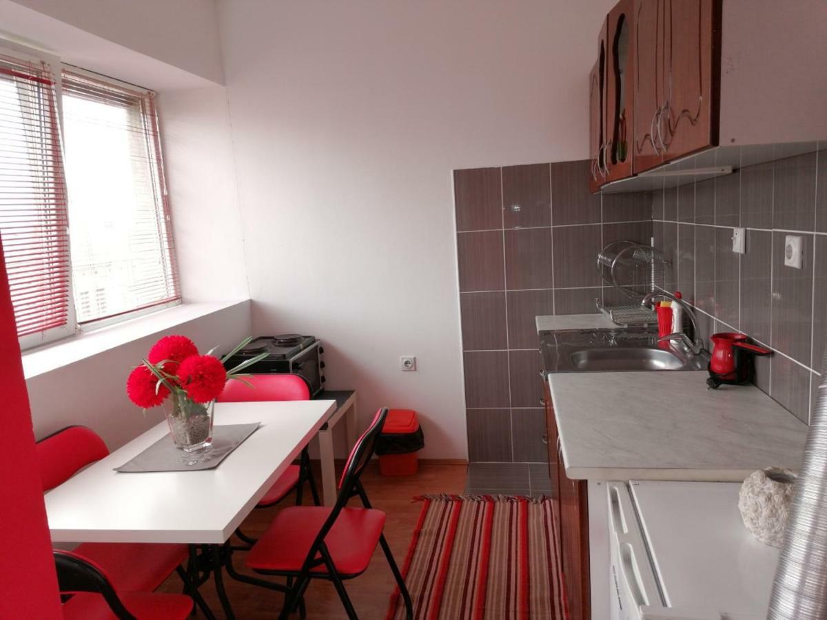 Appartement Jednosoban Stan Centar à Pirot Extérieur photo
