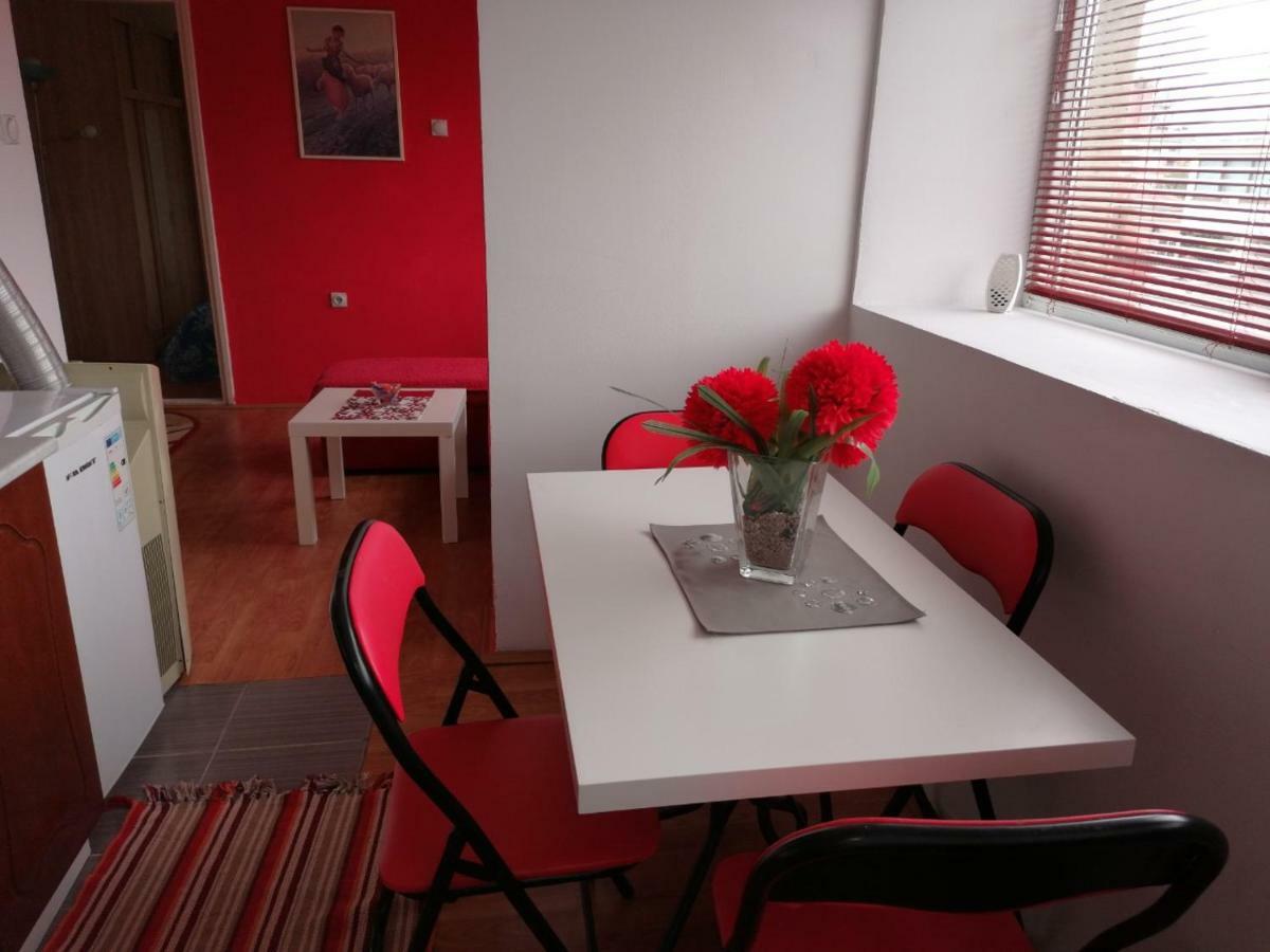 Appartement Jednosoban Stan Centar à Pirot Extérieur photo