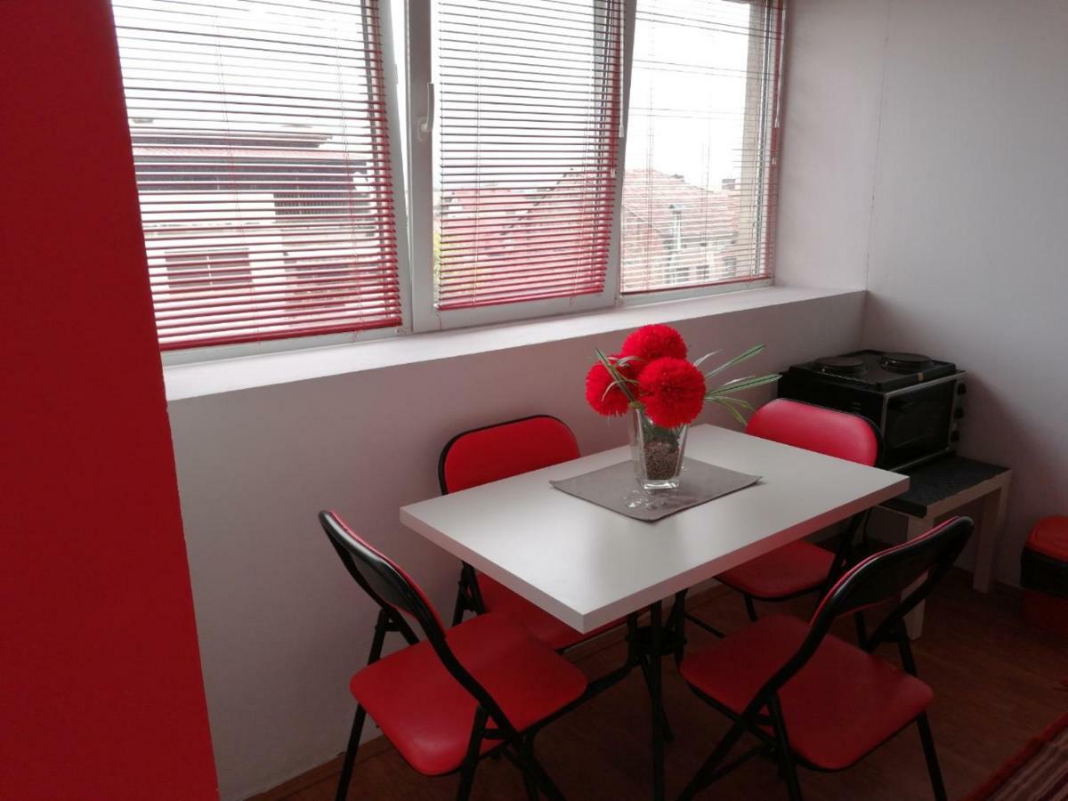 Appartement Jednosoban Stan Centar à Pirot Extérieur photo