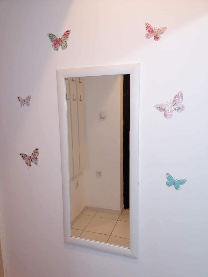 Appartement Jednosoban Stan Centar à Pirot Extérieur photo